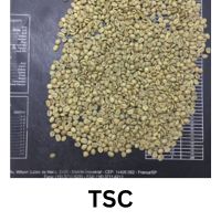 GT-14-2-2025-WA (26.5TSC)